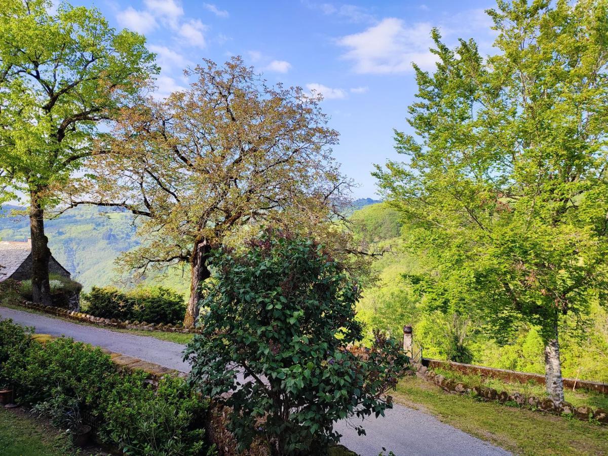 Maison Charmante A Florentin La Capelle Avec Jardin Et Vue Montagne Bagian luar foto